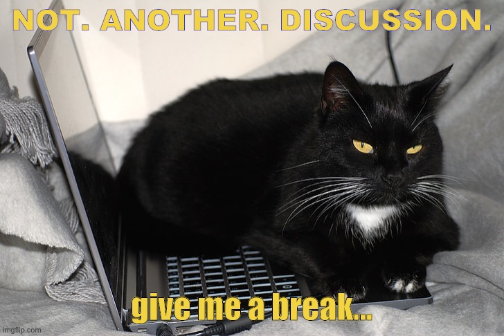 Not Another Discussion | NOT. ANOTHER. DISCUSSION. give me a break... | image tagged in online learning,discussion,cats annoyed | made w/ Imgflip meme maker