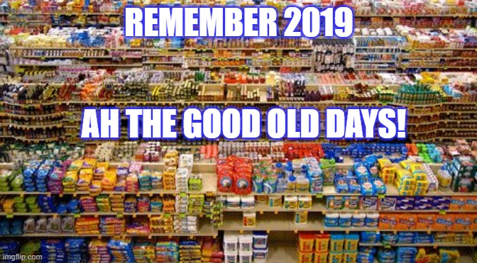 good old days | REMEMBER 2019; AH THE GOOD OLD DAYS! | image tagged in the good old days,2020,pandemic | made w/ Imgflip meme maker