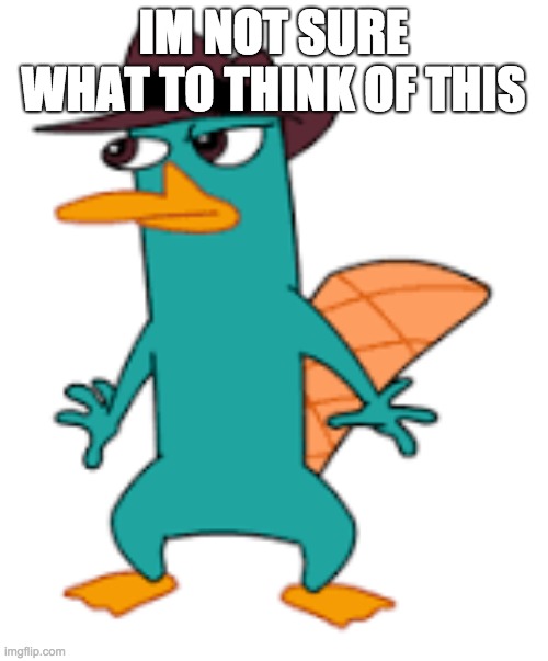 IM NOT SURE WHAT TO THINK OF THIS | image tagged in perry | made w/ Imgflip meme maker