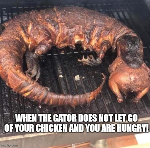 When the gator does not let go of your chicken and you are hungry! | WHEN THE GATOR DOES NOT LET GO OF YOUR CHICKEN AND YOU ARE HUNGRY! | image tagged in gator,chicken | made w/ Imgflip meme maker