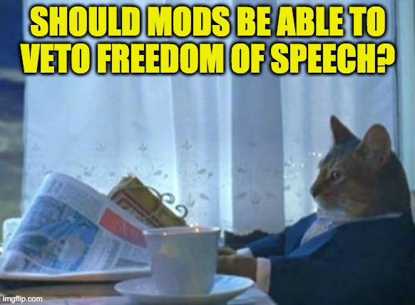 I say no.  The Amendments to the US Constitution give me all kinds of rights, but I can't even talk about that! | SHOULD MODS BE ABLE TO
VETO FREEDOM OF SPEECH? | image tagged in memes,mods,freedom of speech,we shall overcome,us constitution,wrong | made w/ Imgflip meme maker