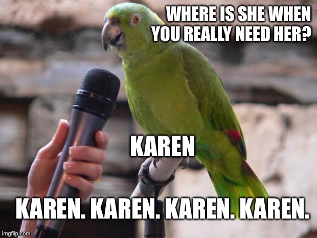 Where is Karen when you need her | WHERE IS SHE WHEN YOU REALLY NEED HER? KAREN; KAREN. KAREN. KAREN. KAREN. | image tagged in parrot,karen,karen the manager will see you now | made w/ Imgflip meme maker