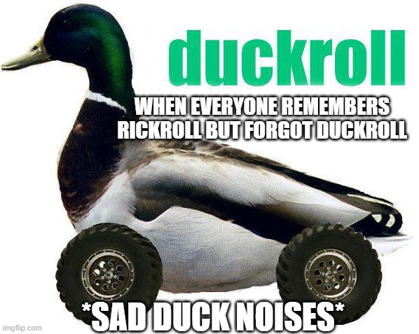 Duckroll needs to be remembered | WHEN EVERYONE REMEMBERS RICKROLL BUT FORGOT DUCKROLL; *SAD DUCK NOISES* | image tagged in duckroll,quack,duck,sad noises,sad,roll | made w/ Imgflip meme maker