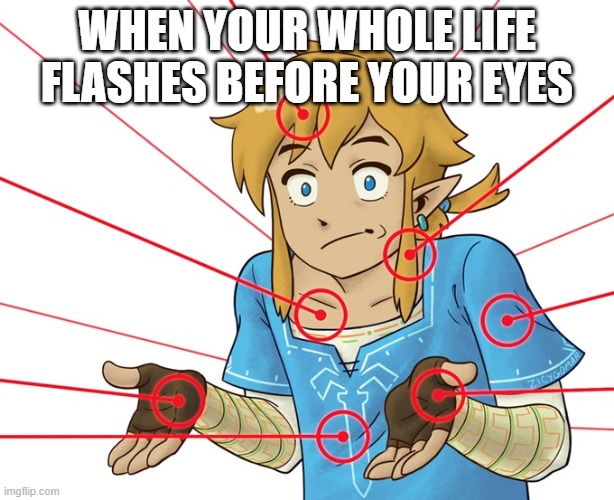 Gardians on link | WHEN YOUR WHOLE LIFE FLASHES BEFORE YOUR EYES | image tagged in zelda,legend of zelda,the legend of zelda,the legend of zelda breath of the wild | made w/ Imgflip meme maker