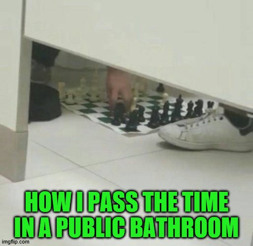 make sure you use a paper board that you can toss | HOW I PASS THE TIME IN A PUBLIC BATHROOM | image tagged in chess,toilet humor | made w/ Imgflip meme maker