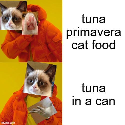 Grumpy cat hotline bling | tuna primavera cat food; tuna in a can | image tagged in memes,drake hotline bling,grumpy cat,funny | made w/ Imgflip meme maker