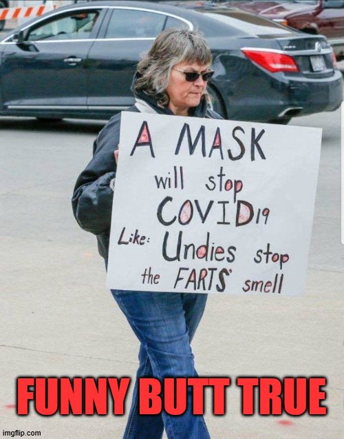 So many studies that cloth masks are ineffective as your underwear is. | FUNNY BUTT TRUE | image tagged in covid-19 | made w/ Imgflip meme maker