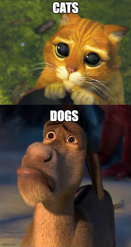 Cat vs. Dog | CATS; DOGS | image tagged in puss in boots,sad donkey,funny,memes | made w/ Imgflip meme maker