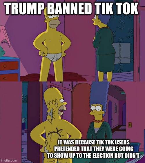 ok | TRUMP BANNED TIK TOK; IT WAS BECAUSE TIK TOK USERS PRETENDED THAT THEY WERE GOING TO SHOW UP TO THE ELECTION BUT DIDN'T | image tagged in homer simpson's back fat | made w/ Imgflip meme maker