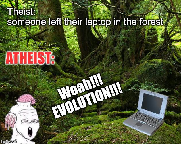 Theist vs Atheist | Theist:  
someone left their laptop in the forest; ATHEIST:; Woah!!!
 EVOLUTION!!! | image tagged in atheism,creationism,memes,philosophy,god,creation | made w/ Imgflip meme maker