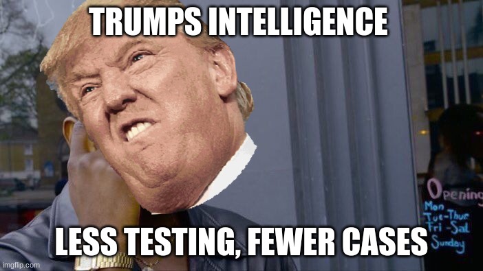Trumps IQ | TRUMPS INTELLIGENCE; LESS TESTING, FEWER CASES | image tagged in memes,roll safe think about it,common sense,donald trump,covid-19 | made w/ Imgflip meme maker