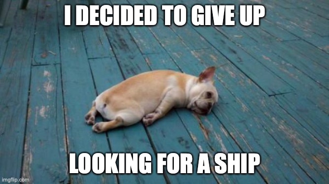 Thank you for understanding! | I DECIDED TO GIVE UP; LOOKING FOR A SHIP | image tagged in tired dog,so don't try to find me someone,i will prob just reject it,nnrtt | made w/ Imgflip meme maker