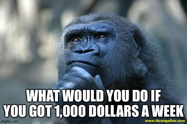 Deep Thoughts | WHAT WOULD YOU DO IF YOU GOT 1,000 DOLLARS A WEEK | image tagged in deep thoughts,memes | made w/ Imgflip meme maker