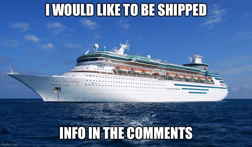 Cruise Ship | I WOULD LIKE TO BE SHIPPED; INFO IN THE COMMENTS | image tagged in cruise ship | made w/ Imgflip meme maker