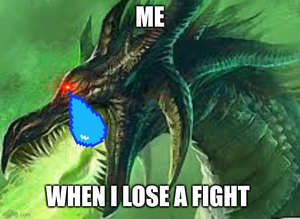 Fight scene | ME; WHEN I LOSE A FIGHT | image tagged in funny | made w/ Imgflip meme maker