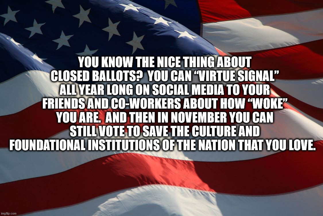 Closed Ballots | YOU KNOW THE NICE THING ABOUT CLOSED BALLOTS?  YOU CAN “VIRTUE SIGNAL” ALL YEAR LONG ON SOCIAL MEDIA TO YOUR FRIENDS AND CO-WORKERS ABOUT HOW “WOKE” YOU ARE.  AND THEN IN NOVEMBER YOU CAN STILL VOTE TO SAVE THE CULTURE AND FOUNDATIONAL INSTITUTIONS OF THE NATION THAT YOU LOVE. | image tagged in american flag,ballots,woke,virtue signal,vote november,vote | made w/ Imgflip meme maker