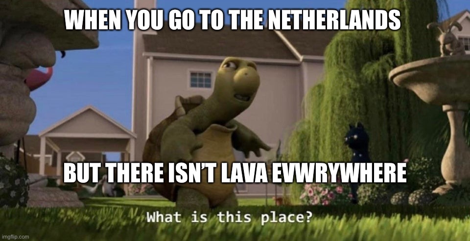What is this place | WHEN YOU GO TO THE NETHERLANDS; BUT THERE ISN’T LAVA EVWRYWHERE | image tagged in what is this place | made w/ Imgflip meme maker
