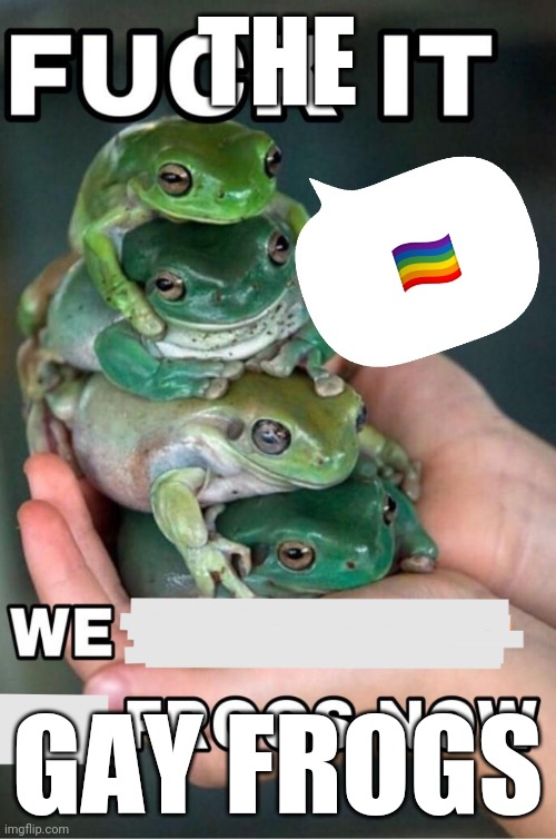 THE; GAY FROGS | image tagged in okbuddyhetero | made w/ Imgflip meme maker