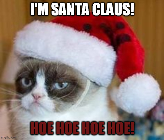 The grumpiest santa claus! | I'M SANTA CLAUS! HOE HOE HOE HOE! | image tagged in christmas,grumpy cat,santa | made w/ Imgflip meme maker