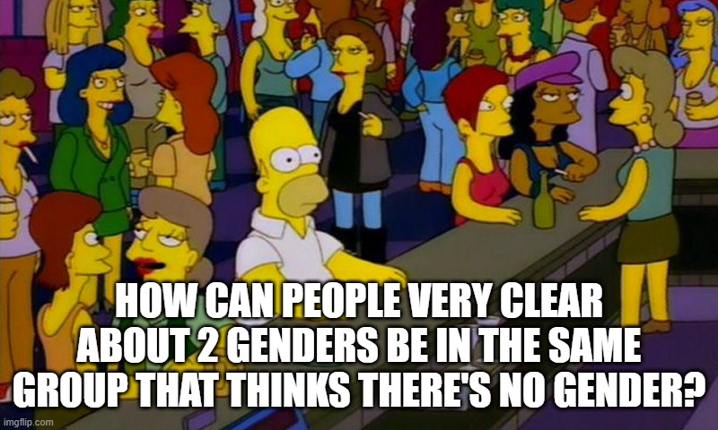 Homer Simpsons in bar | HOW CAN PEOPLE VERY CLEAR ABOUT 2 GENDERS BE IN THE SAME GROUP THAT THINKS THERE'S NO GENDER? | image tagged in homer simpsons in bar | made w/ Imgflip meme maker