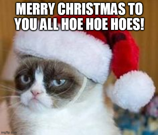 grumpy cat sends you a christmas wish! | MERRY CHRISTMAS TO YOU ALL HOE HOE HOES! | image tagged in christmas,grumpy cat | made w/ Imgflip meme maker