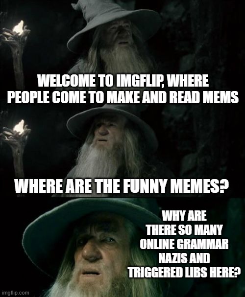 Confused Gandalf Meme | WELCOME TO IMGFLIP, WHERE PEOPLE COME TO MAKE AND READ MEMS; WHERE ARE THE FUNNY MEMES? WHY ARE THERE SO MANY ONLINE GRAMMAR NAZIS AND TRIGGERED LIBS HERE? | image tagged in memes,confused gandalf | made w/ Imgflip meme maker