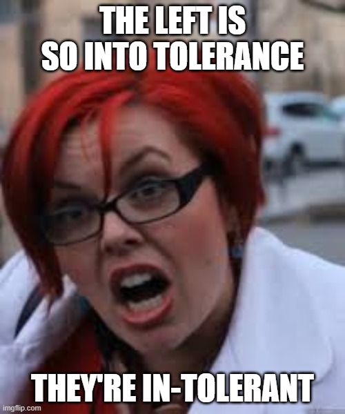 SJW Triggered | THE LEFT IS SO INTO TOLERANCE; THEY'RE IN-TOLERANT | image tagged in sjw triggered | made w/ Imgflip meme maker
