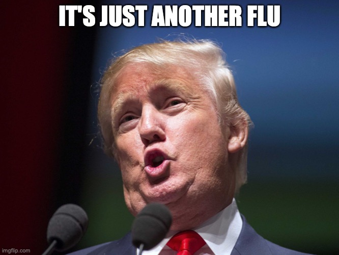 donald trump huge | IT'S JUST ANOTHER FLU | image tagged in donald trump huge | made w/ Imgflip meme maker