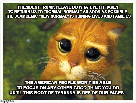 not funny, but real... | PRESIDENT TRUMP, PLEASE DO WHATEVER IT TAKES TO RETURN US TO "NORMAL NORMAL" AS SOON AS POSSIBLE.  THE SCAMDEMIC "NEW NORMAL" IS RUINING LIVES AND FAMILIES. THE AMERICAN PEOPLE WON'T BE ABLE TO FOCUS ON ANY OTHER GOOD THING YOU DO UNTIL THIS BOOT OF TYRANNY IS OFF OF OUR FACES . | image tagged in memes,shrek cat | made w/ Imgflip meme maker