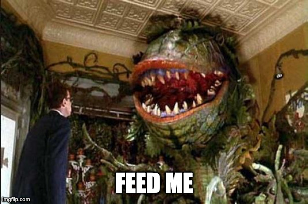 Feed me | FEED ME | image tagged in feed me | made w/ Imgflip meme maker