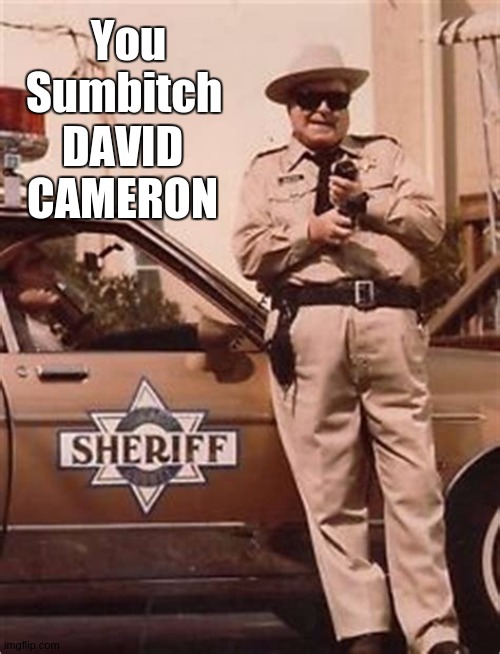 You Sumbitch; DAVID CAMERON | image tagged in david cameron,copy,parliament,tony blair | made w/ Imgflip meme maker