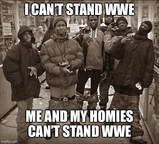 All My Homies Hate | I CAN’T STAND WWE; ME AND MY HOMIES CAN’T STAND WWE | image tagged in all my homies hate | made w/ Imgflip meme maker