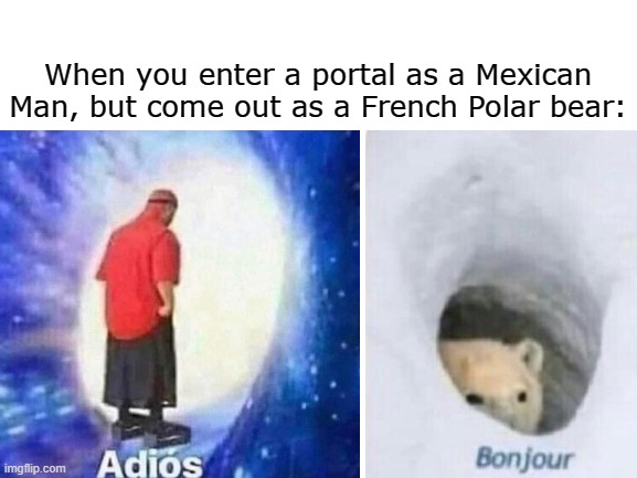 The perfect meme crossover | When you enter a portal as a Mexican Man, but come out as a French Polar bear: | image tagged in dank memes | made w/ Imgflip meme maker