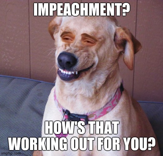 Dog smile | IMPEACHMENT? HOW'S THAT WORKING OUT FOR YOU? | image tagged in dog smile | made w/ Imgflip meme maker
