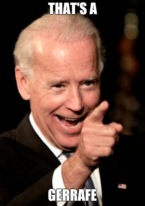 Smilin Biden Meme | THAT'S A GERRAFE | image tagged in memes,smilin biden | made w/ Imgflip meme maker