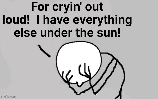 Computer Guy Facepalm Meme | For cryin' out loud!  I have everything else under the sun! | image tagged in memes,computer guy facepalm | made w/ Imgflip meme maker