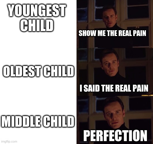 perfection | SHOW ME THE REAL PAIN PERFECTION I SAID THE REAL PAIN YOUNGEST CHILD OLDEST CHILD MIDDLE CHILD | image tagged in perfection | made w/ Imgflip meme maker