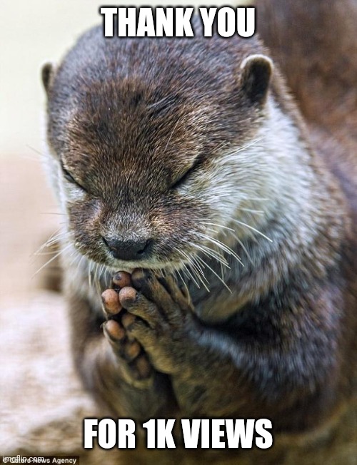 Thank you Lord Otter | THANK YOU FOR 1K VIEWS | image tagged in thank you lord otter | made w/ Imgflip meme maker