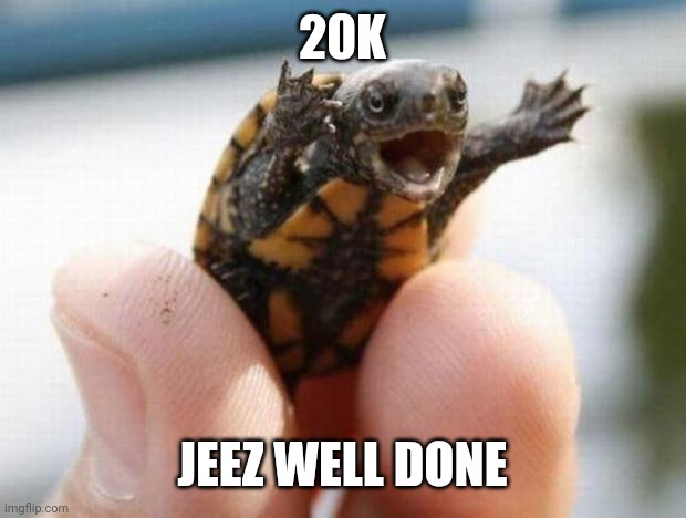 happy baby turtle | 20K JEEZ WELL DONE | image tagged in happy baby turtle | made w/ Imgflip meme maker