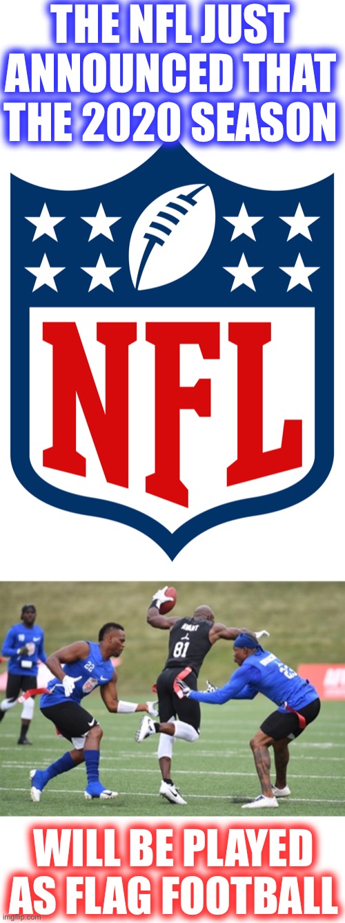 N.F.F.L.? | THE NFL JUST ANNOUNCED THAT THE 2020 SEASON; WILL BE PLAYED AS FLAG FOOTBALL | image tagged in flag football,nfl logo | made w/ Imgflip meme maker