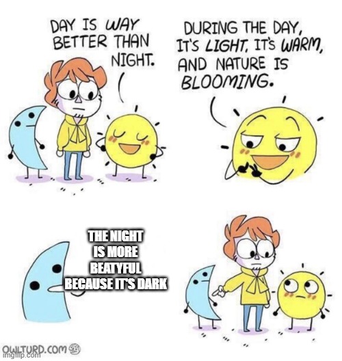 b r u h | THE NIGHT IS MORE BEATYFUL BECAUSE IT'S DARK | image tagged in the day is better than night,night,beautiful | made w/ Imgflip meme maker