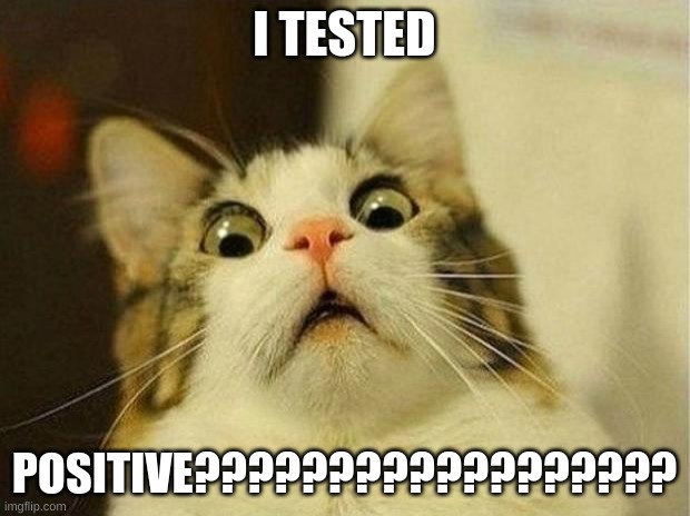 Scared Cat Meme | I TESTED; POSITIVE?????????????????? | image tagged in memes,scared cat | made w/ Imgflip meme maker