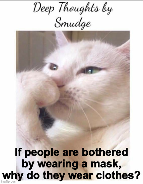 Smudge | If people are bothered by wearing a mask, why do they wear clothes? | image tagged in smudge | made w/ Imgflip meme maker