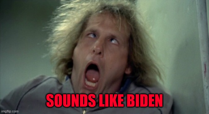 Scary Harry Meme | SOUNDS LIKE BIDEN | image tagged in memes,scary harry | made w/ Imgflip meme maker