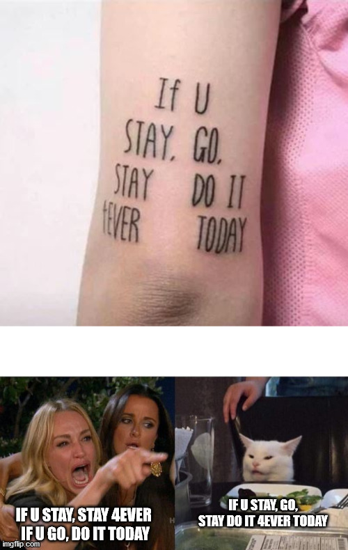 IF U STAY, GO, STAY DO IT 4EVER TODAY; IF U STAY, STAY 4EVER 
IF U GO, DO IT TODAY | image tagged in memes,woman yelling at cat,memes | made w/ Imgflip meme maker