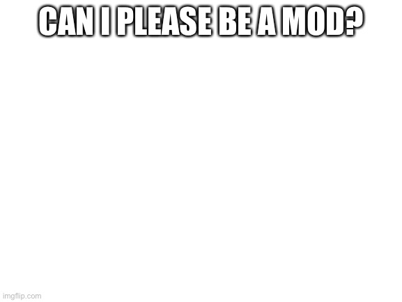 I can’t reply to your comments rn | CAN I PLEASE BE A MOD? | image tagged in blank white template | made w/ Imgflip meme maker