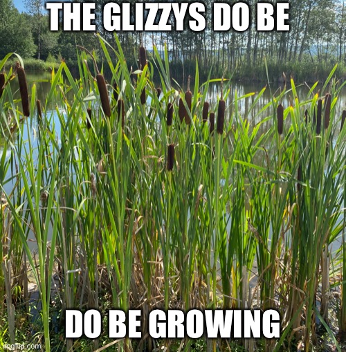 Growing Glizzys | THE GLIZZYS DO BE; DO BE GROWING | image tagged in lmao | made w/ Imgflip meme maker