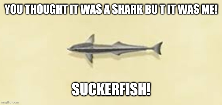 Animal crossing new horizons fishing can be upsetting | YOU THOUGHT IT WAS A SHARK BU T IT WAS ME! SUCKERFISH! | image tagged in animal crossing,new horizons,fishing | made w/ Imgflip meme maker