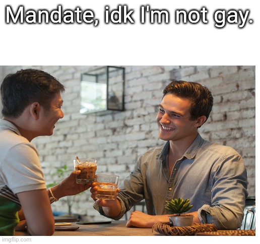 What are you gay meme maker