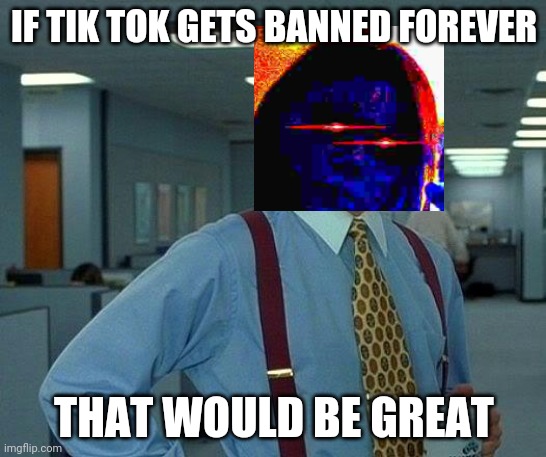 That Would Be Great | IF TIK TOK GETS BANNED FOREVER; THAT WOULD BE GREAT | image tagged in memes,that would be great | made w/ Imgflip meme maker